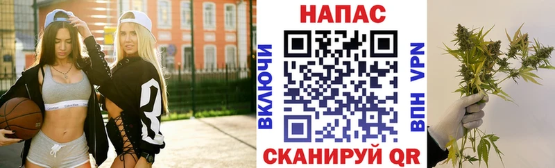 Купить  Волосово  МАРИХУАНА план 